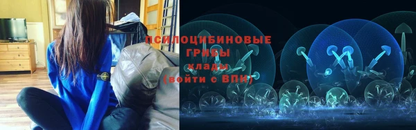 2c-b Михайловка