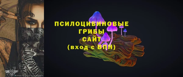 2c-b Михайловка