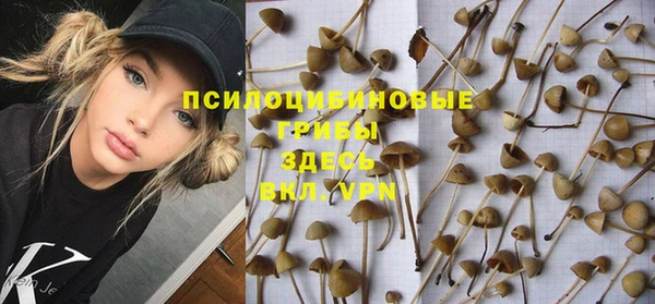 дмт Михайловск
