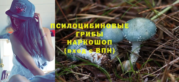 2c-b Михайловка