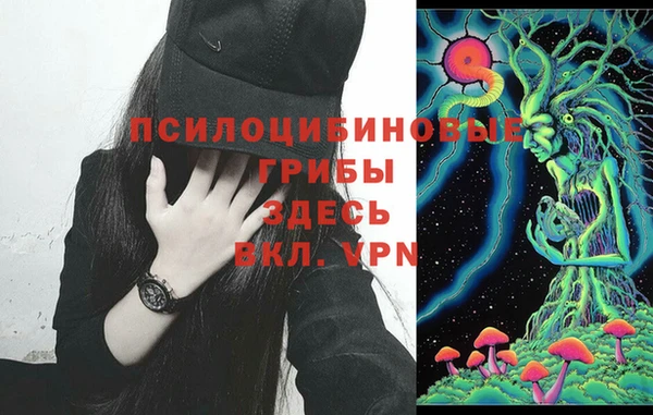 2c-b Михайловка